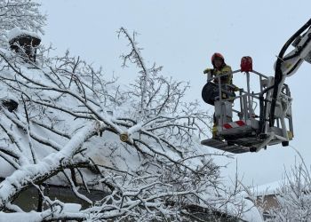 [AKTUALIZACJA, ZDJĘCIA] Ponad tysiąc interwencji strażaków na Podkarpaciu. Tysiące odbiorców bez prądu