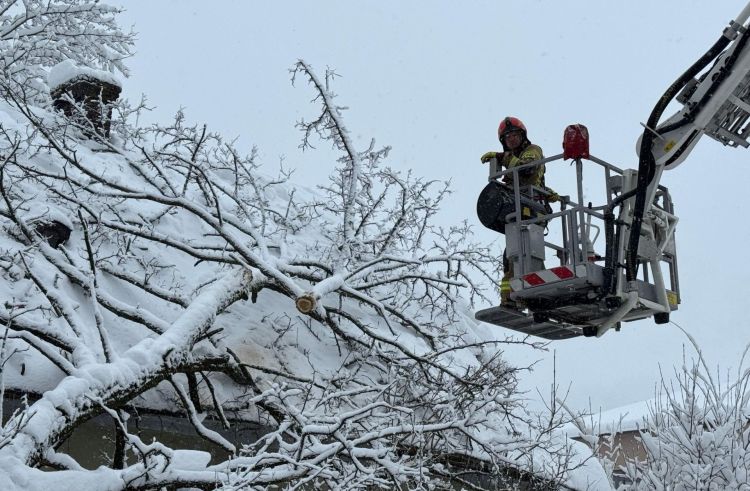[AKTUALIZACJA, ZDJĘCIA] Ponad tysiąc interwencji strażaków na Podkarpaciu. Tysiące odbiorców bez prądu