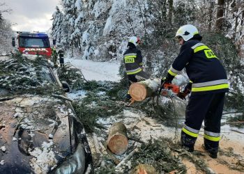 W Targowiskach drzewo spadło na jadące auto. Kamerka samochodowa uchwyciła momentu upadku [WIDEO, ZDJĘCIA]