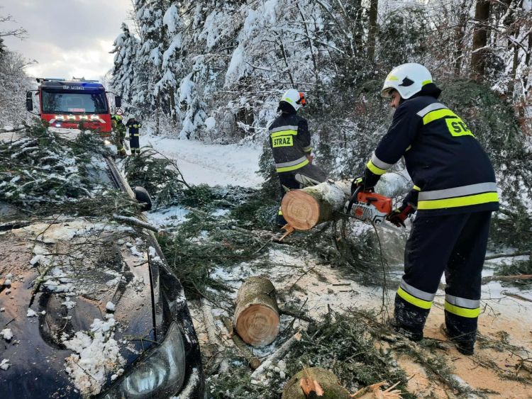 W Targowiskach drzewo spadło na jadące auto. Kamerka samochodowa uchwyciła momentu upadku [WIDEO, ZDJĘCIA]