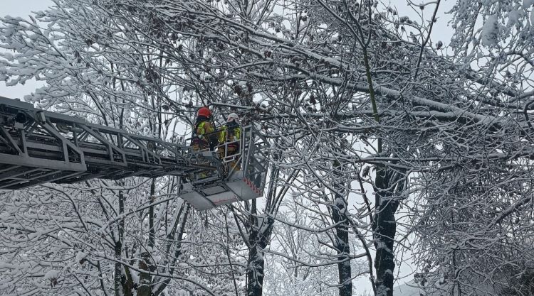 Po nocnych awariach ponad 42 tysiące odbiorców na Podkarpaciu nie ma prądu