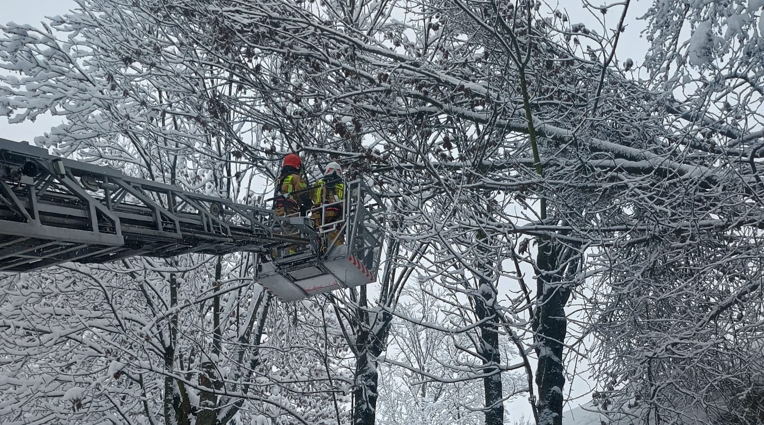 Po nocnych awariach ponad 42 tysiące odbiorców na Podkarpaciu nie ma prądu