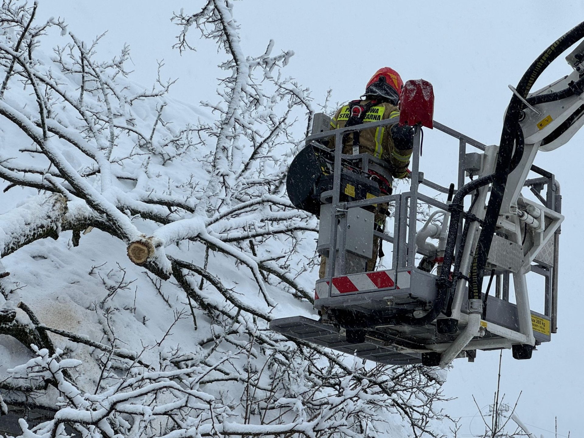 Około 2 tysięcy odbiorców w regionie nadal bez prądu 8 - Polskie Radio Rzeszów Około 2 tysięcy odbiorców w regionie nadal bez prądu