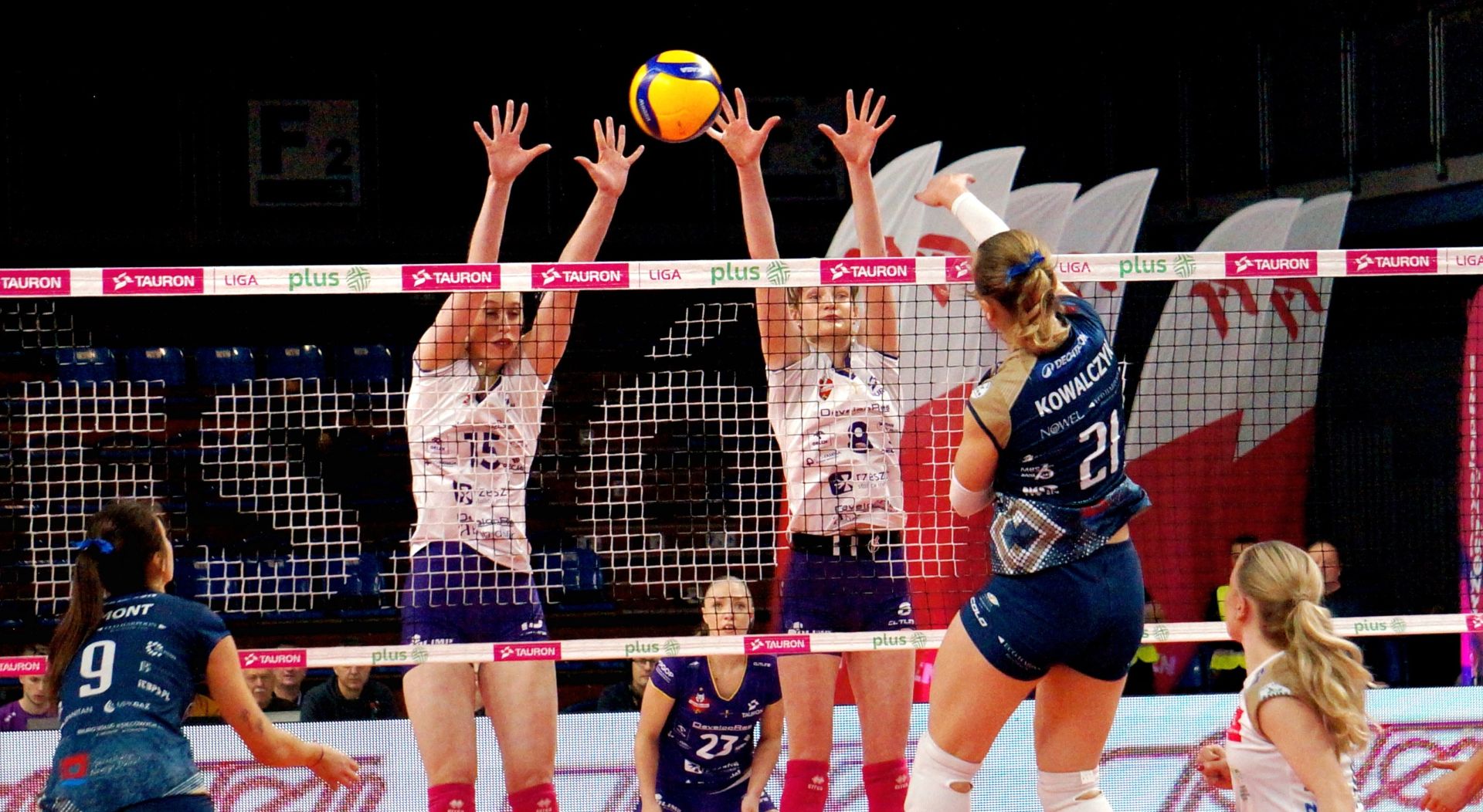 DevelopRes Rzeszów wygrywa z drużyną LOS Nowy Dwór Mazowiecki [ZDJĘCIA]