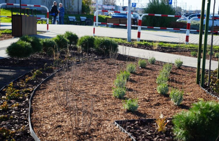 Nowy park kieszonkowy w Dębicy