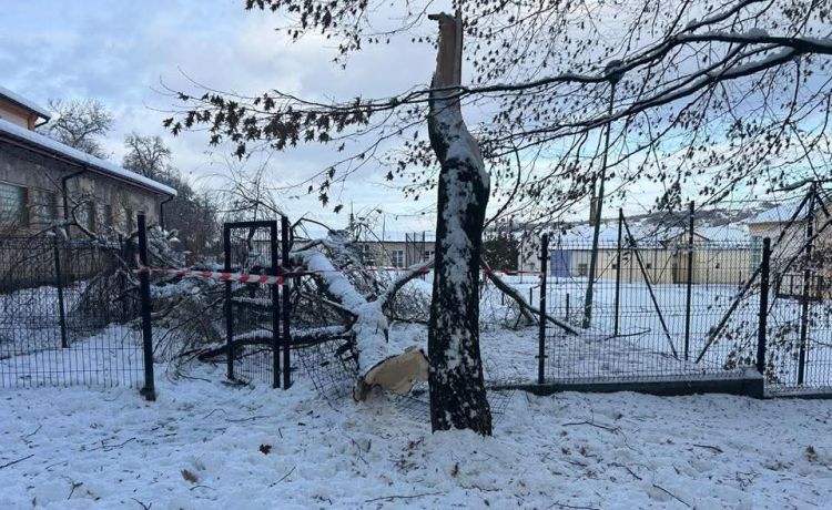 Park przypałacowy w Tyczynie i Muzeum Zamek w Łańcucie nieczynne