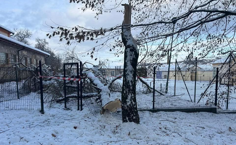 Park przypałacowy w Tyczynie i Muzeum Zamek w Łańcucie nieczynne