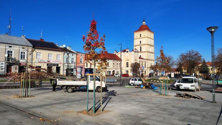 Na leżajskim rynku będzie więcej drzew
