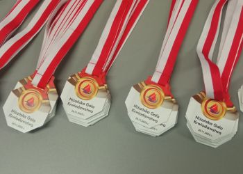 Niżańska Gala Krwiodawstwa – wyróżniono zasłużonych dawców krwi