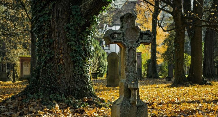 Zbiórki na zabytkowe nagrobki. Wolontariusze ratują małe nekropolie