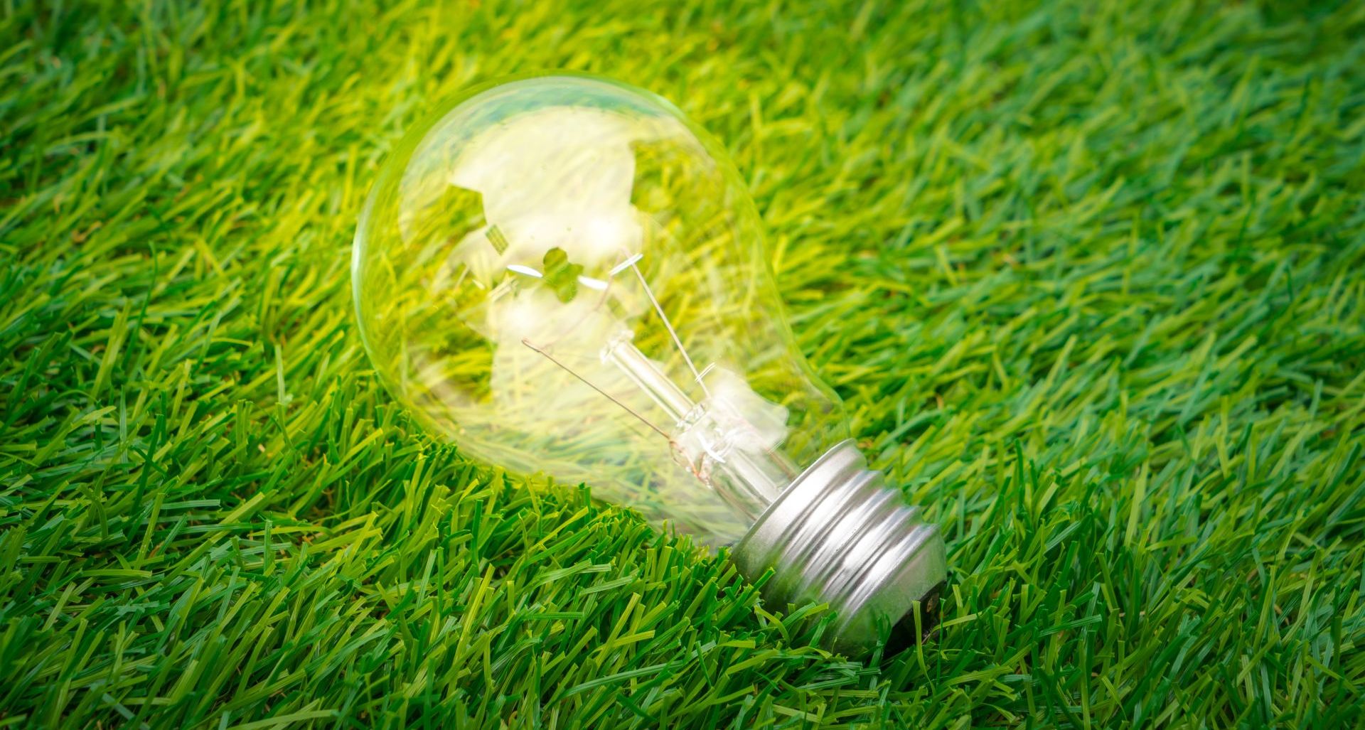 Rzeszów planuje budowę magazynów energii. Miasto stawia na neutralność klimatyczną