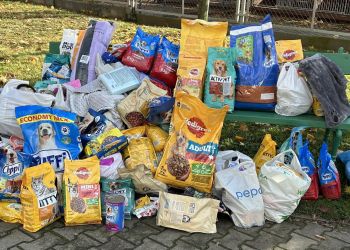 Schronisko „Kundelek” w Rzeszowie przygotowuje się do zimy. Potrzebna pomoc dla psów i kotów