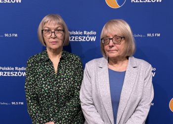 „Kocia Karetka” Fundacji Felineus. Jedna złotówka może uratować życie kota