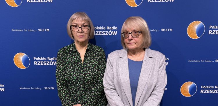 „Kocia Karetka” Fundacji Felineus. Jedna złotówka może uratować życie kota