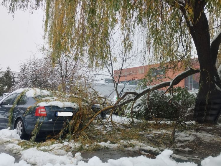 Zawieje śnieżne paraliżują Podkarpacie. Nieprzejezdne drogi i połamane drzewa na południu regionu