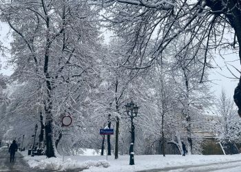 Rzeszów w śnieżnej odsłonie – miasto jak zimowa pocztówka