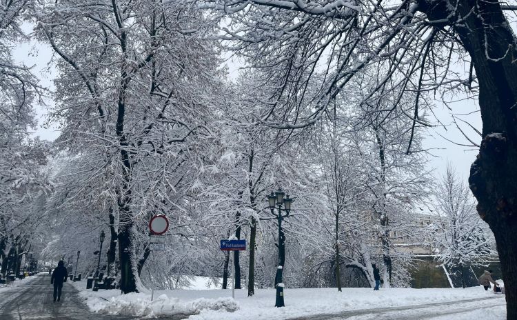 Rzeszów w śnieżnej odsłonie – miasto jak zimowa pocztówka