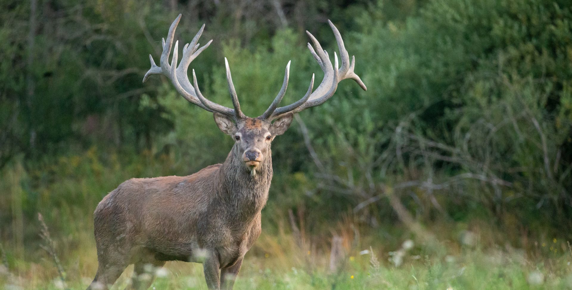 Dlaczego myślenie czyni myśliwym?