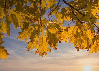 Wszystkich Świętych i Zaduszki słoneczne i ciepłe. Na Podkarpaciu nawet 18 stopni na plusie