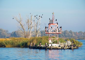 Prezydent zawetował ustawę ws. utworzenia Parku Narodowego Doliny Dolnej Odry