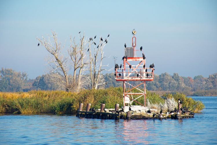 Prezydent zawetował ustawę ws. utworzenia Parku Narodowego Doliny Dolnej Odry