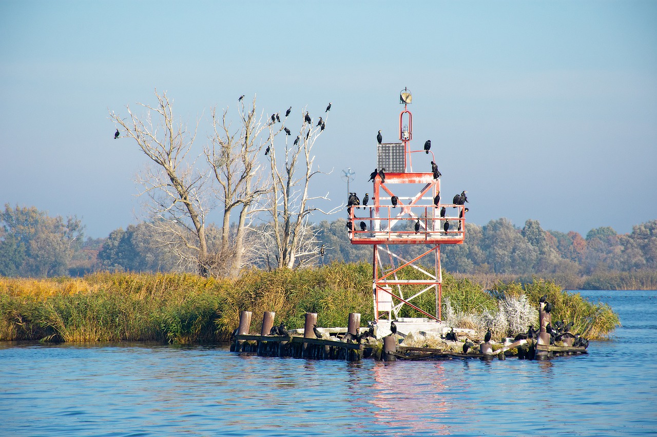 Prezydent zawetował ustawę ws. utworzenia Parku Narodowego Doliny Dolnej Odry