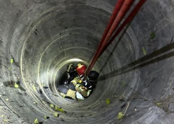 Koza wpadła do studni. Smutny finał akcji strażaków w Cierpiszu