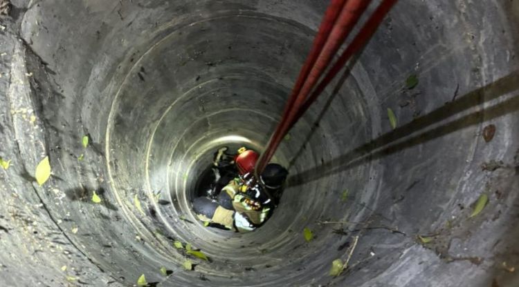 Koza wpadła do studni. Smutny finał akcji strażaków w Cierpiszu