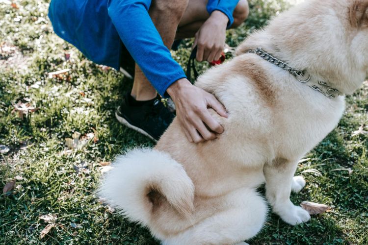 13 listopada – Międzynarodowy Dzień Osób Niewidomych