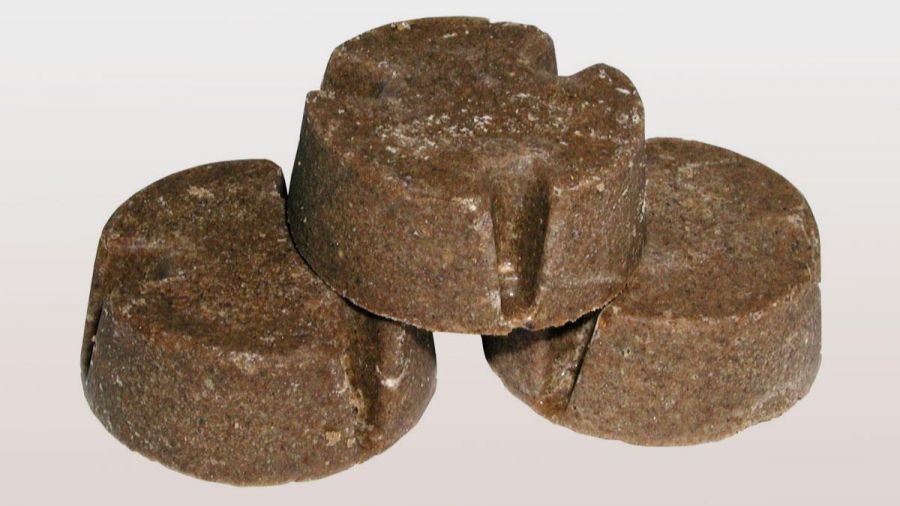 RCB ostrzega przed zrzutami szczepionek dla lisów na Podkarpaciu - Polskie Radio Rzeszów