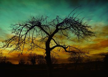 Duchy i dusze. Dawne wierzenia mieszkańców podkarpackich wsi