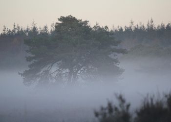 Nadciągają gęste mgły, utrudnią widzialność