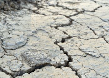 20 ofiar trzęsienia ziemi w Afganistanie