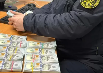 100 tysięcy dolarów pod ubraniem przemytniczki