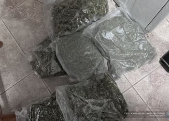 Mieszkaniec powiatu łańcuckiego odpowie za&nbsp;posiadanie narkotyków