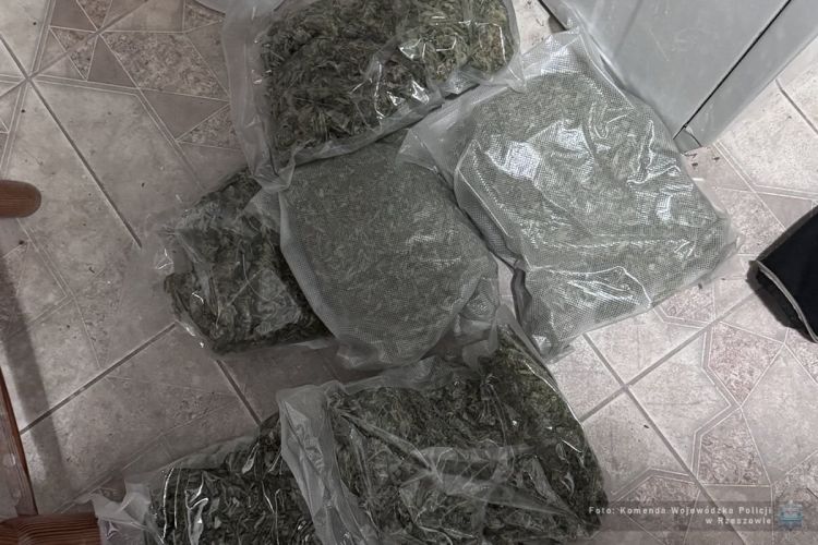 Mieszkaniec powiatu łańcuckiego odpowie za&nbsp;posiadanie narkotyków