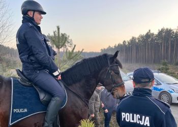[ZDJĘCIA] Akcja „STROISZ” w&nbsp;lasach koło Raniżowa. Policja i&nbsp;Straż Leśna przeciwdziałają kradzieżom drzew