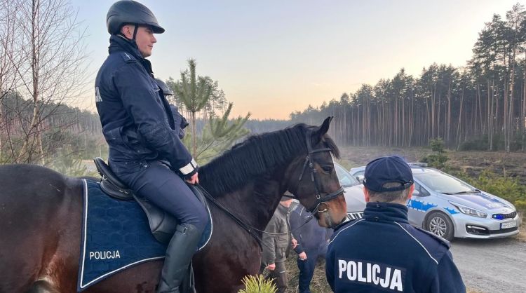 [ZDJĘCIA] Akcja „STROISZ” w&nbsp;lasach koło Raniżowa. Policja i&nbsp;Straż Leśna przeciwdziałają kradzieżom drzew