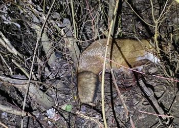 Fot. KPP w Jarosławiu