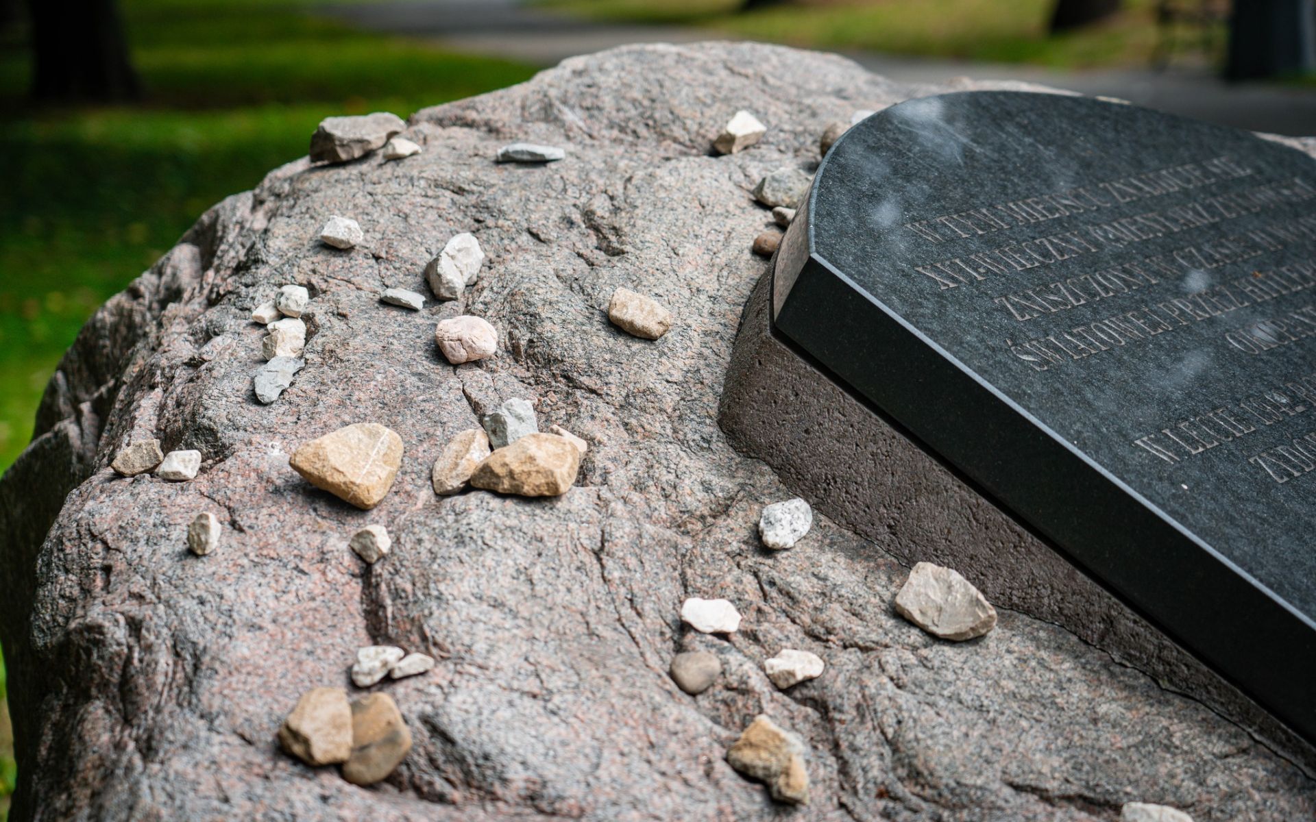 Masowy grób z czasów II wojny światowej odnaleziony na cmentarzu żydowskim w Rzeszowie