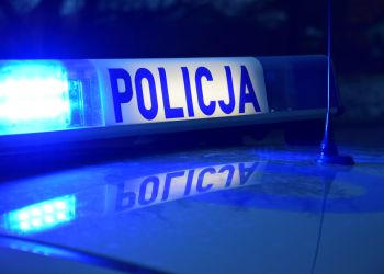 Mieszkaniec Stalowej Woli kierował bmw mimo dwóch zakazów. Miał przy sobie narkotyki