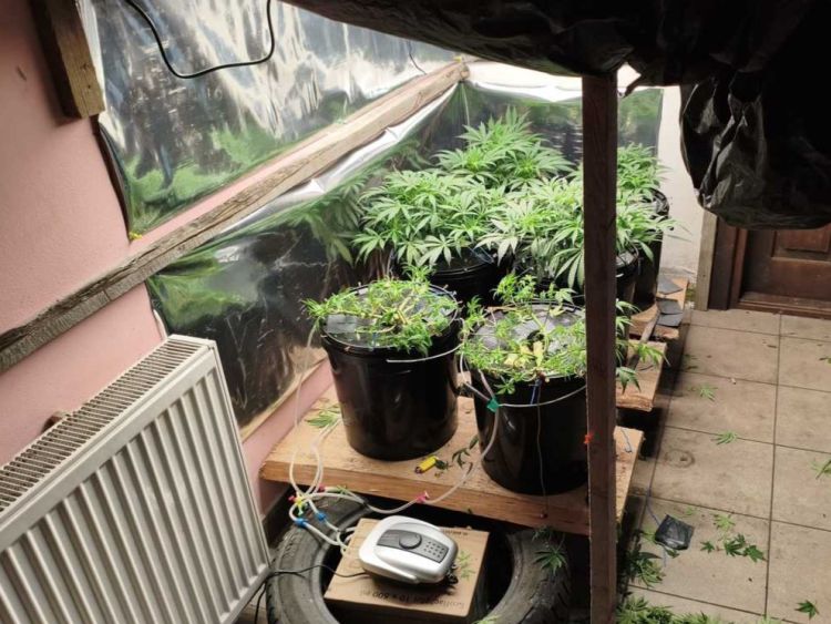 Kryminalni z Ustrzyk Dolnych zatrzymali 50-latka podejrzanego o przestępstwa narkotykowe 1 - Polskie Radio Rzeszów Kryminalni z Ustrzyk Dolnych zatrzymali 50-latka podejrzanego o przestępstwa narkotykowe