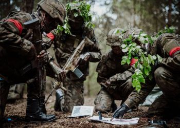 Żołnierze WOT w akcji: ćwiczenia „Nowy Łupków-25” w Komańczy