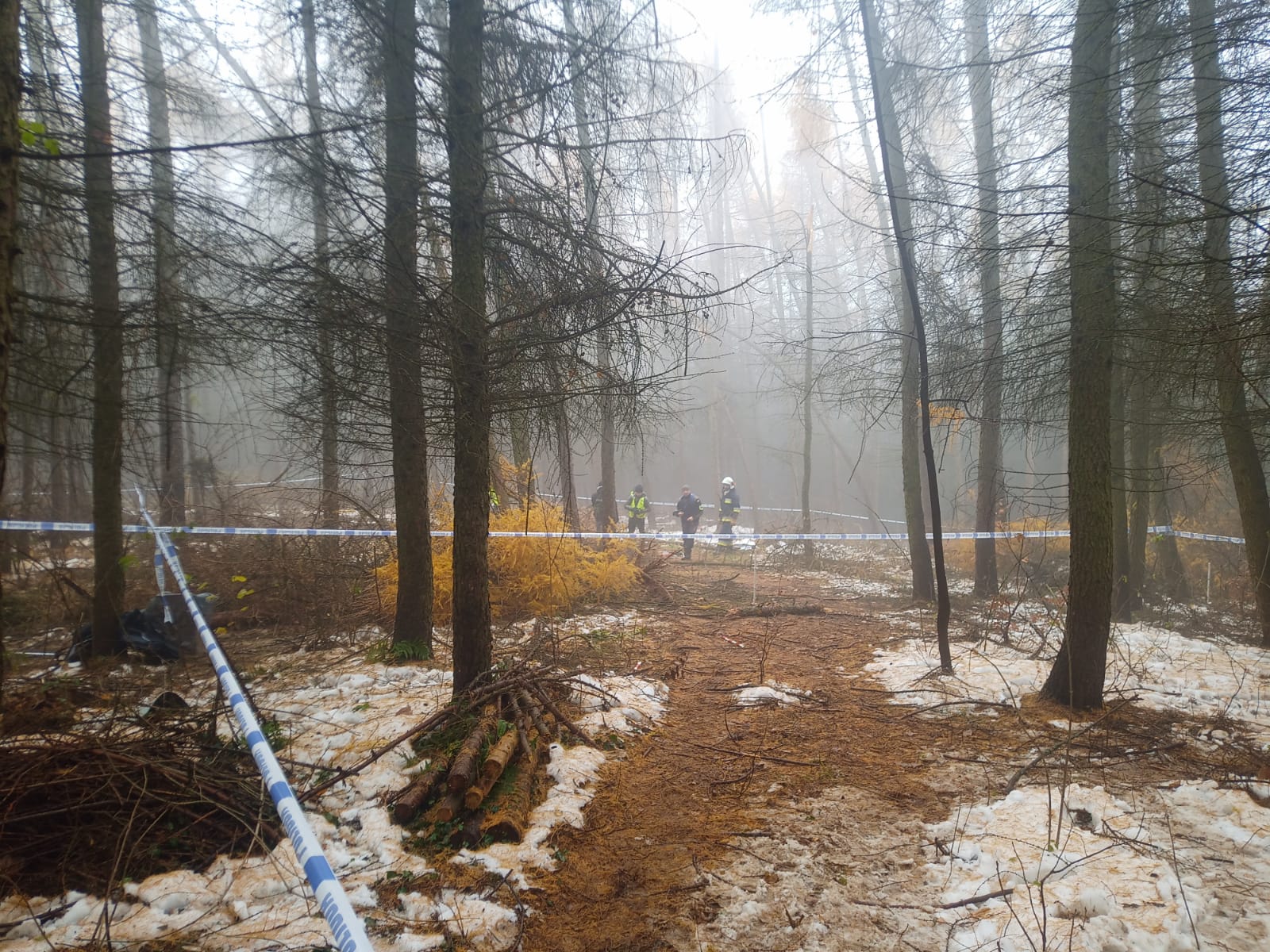 Pierwsze ustalenia prokuratury w sprawie katastrofy śmigłowca w Cierpiszu. Helikopter zahaczył o drzewa 4 - Polskie Radio Rzeszów Pierwsze ustalenia prokuratury w sprawie katastrofy śmigłowca w Cierpiszu. Helikopter zahaczył o drzewa - Polskie Radio Rzeszów