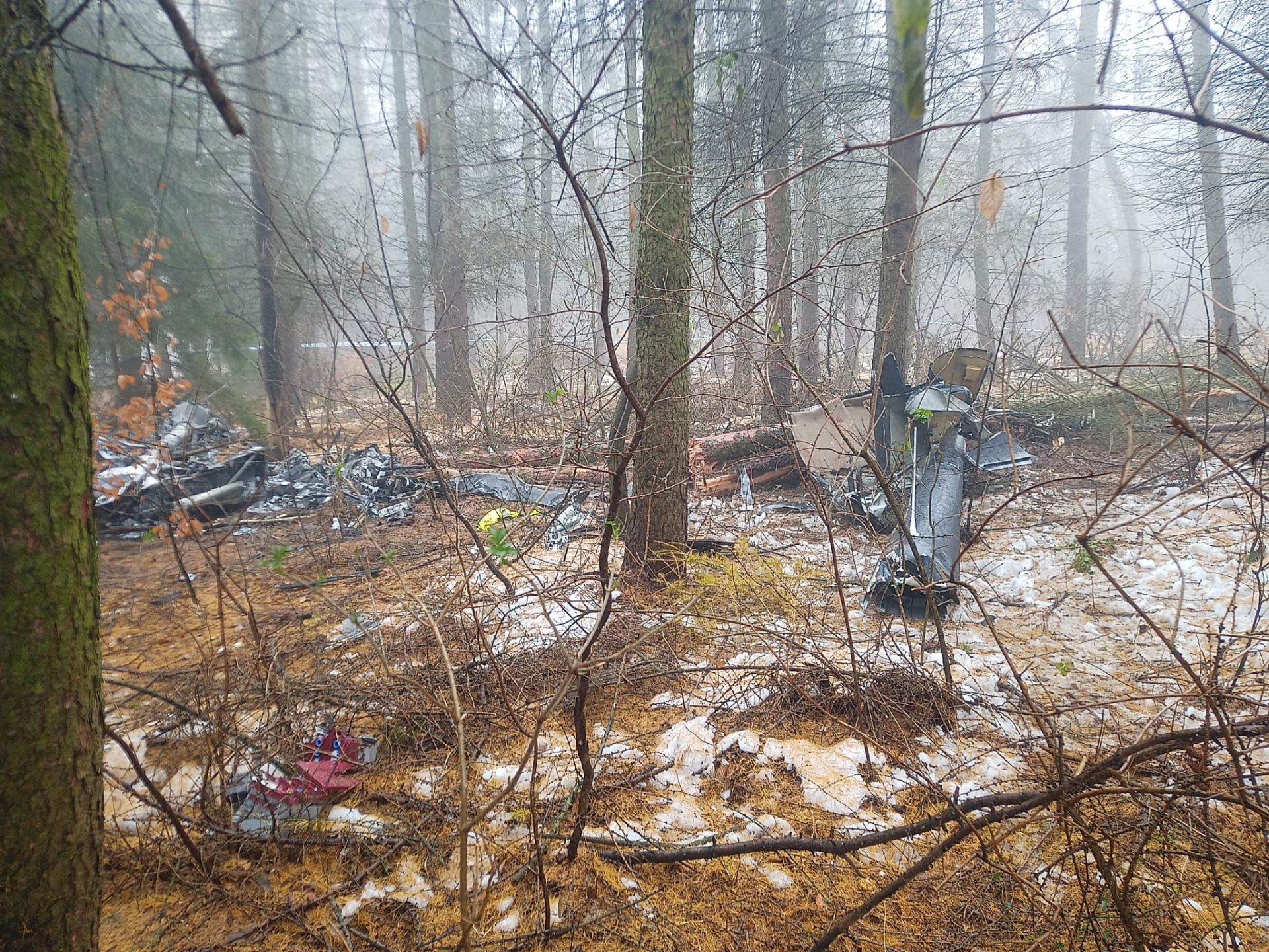 Pierwsze ustalenia prokuratury w sprawie katastrofy śmigłowca w Cierpiszu. Helikopter zahaczył o drzewa 2 - Polskie Radio Rzeszów Pierwsze ustalenia prokuratury w sprawie katastrofy śmigłowca w Cierpiszu. Helikopter zahaczył o drzewa - Polskie Radio Rzeszów