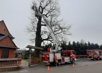 Interwencja strażaków w Humniskach. Uszkodzone drzewo zagrażało przejeżdżającym [ZDJĘCIA]