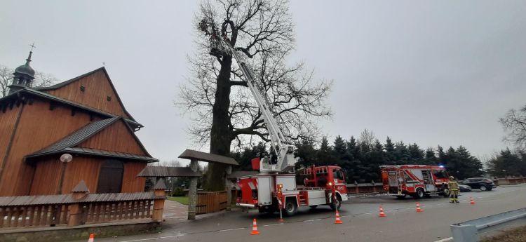 Interwencja strażaków w Humniskach. Uszkodzone drzewo zagrażało przejeżdżającym [ZDJĘCIA]