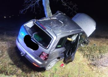 [ZDJĘCIA] Groźna kolizja w Pielgrzymce. Samochód wpadł do rowu i uderzył w drzewo