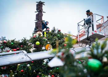 Świąteczne Miasteczko w Rzeszowie rusza w piątek. Na Rynku stanęła już choinka [ZDJĘCIA]