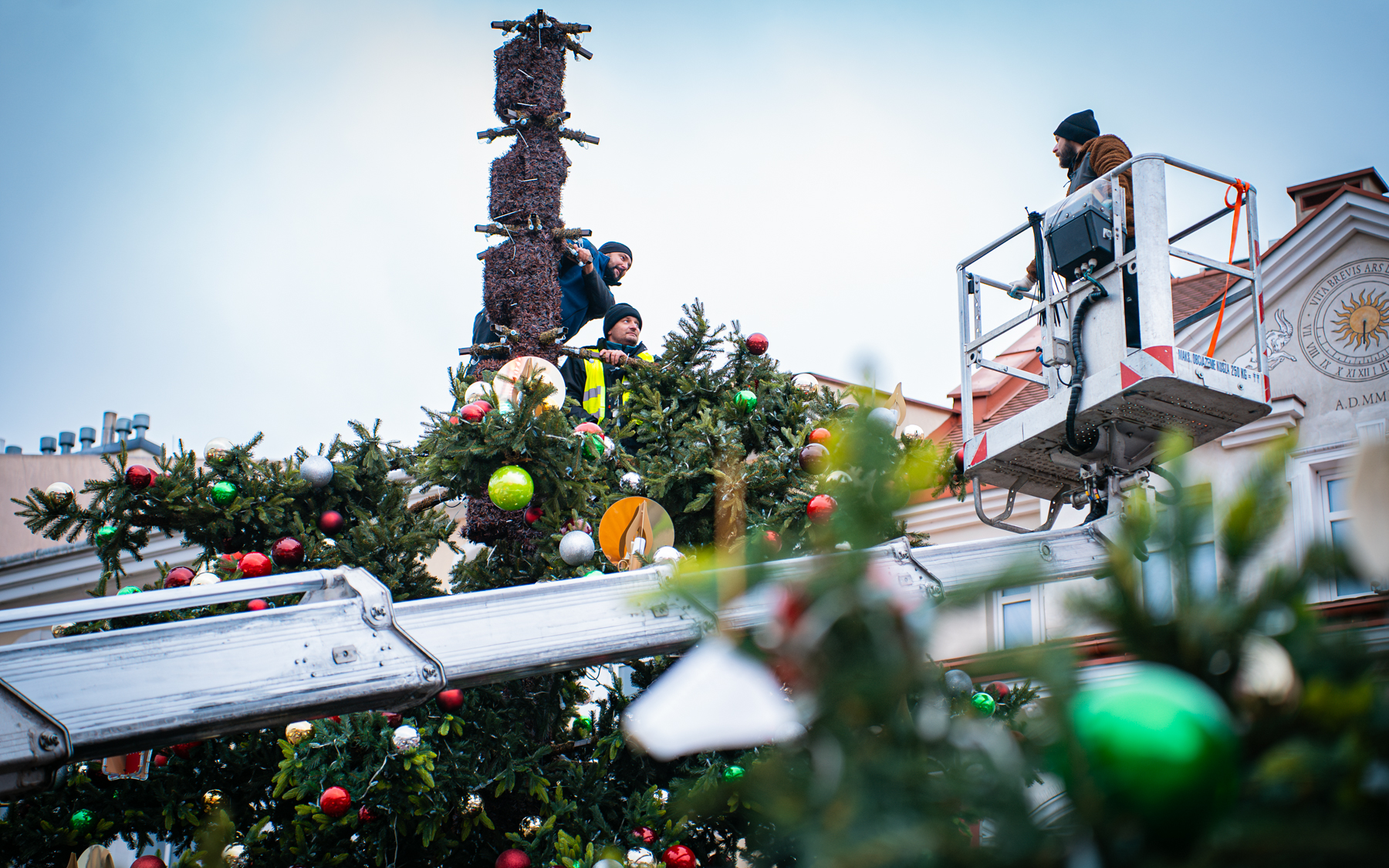 Świąteczne Miasteczko w Rzeszowie rusza w piątek. Na Rynku stanęła już choinka [ZDJĘCIA]